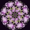 Lilacs Kaleidoscope Quilt Kit-494