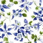 Wildflowers IV - 32367 12 - White-0