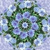 Wildflowers with Snow Blossoms Kaleidoscope Quilt Kit -0