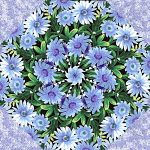 Wildflowers with Snow Blossoms Kaleidoscope Quilt Kit -0