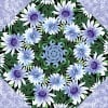 Wildflowers with Snow Blossoms Kaleidoscope Quilt Kit -6547