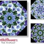 Wildflowers Kaleidoscope Quilt Kit -0