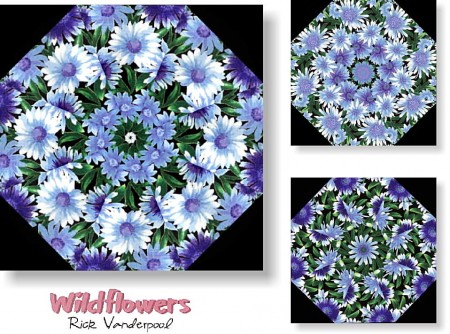 Wildflowers Kaleidoscope Quilt Kit -0