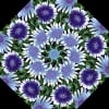 Wildflowers Kaleidoscope Quilt Kit -6541