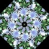 Wildflowers Kaleidoscope Quilt Kit -6538
