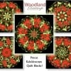 Woodland Greetings Kaleidoscope Quilt Kit -6529