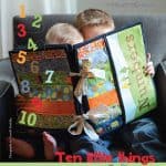 Ten Little Things Fabric Panel + FREE PATTERN -0