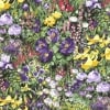 Enchanted Garden - 32631 12 - Lilac-0