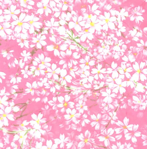 Sakura Park - 32692 12 - Blossoms-0