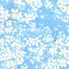 Sakura Park - 32692 13 - Sky-0