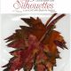 Silhouettes - Maple Leaves-0