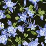 Wildflowers IV - 32367 11 - Black-0