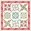 Solstice Quilt Kit-0