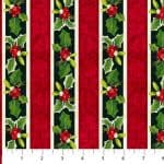 Cardinal Christmas - 20064-0