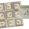 A Field Guide Quilt Pattern-0