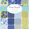 Summer Breeze III 2.5" Charm Pack-17064