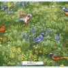 Wildflowers IV - 32360 11-0