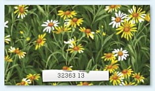 Wildflowers IV - 32363 13-0