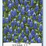 Wildflowers IV - 32366 11-0